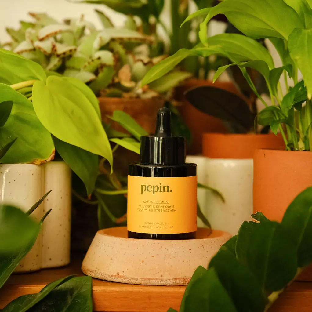 Sérum nourrissant - Cactus - Image 2