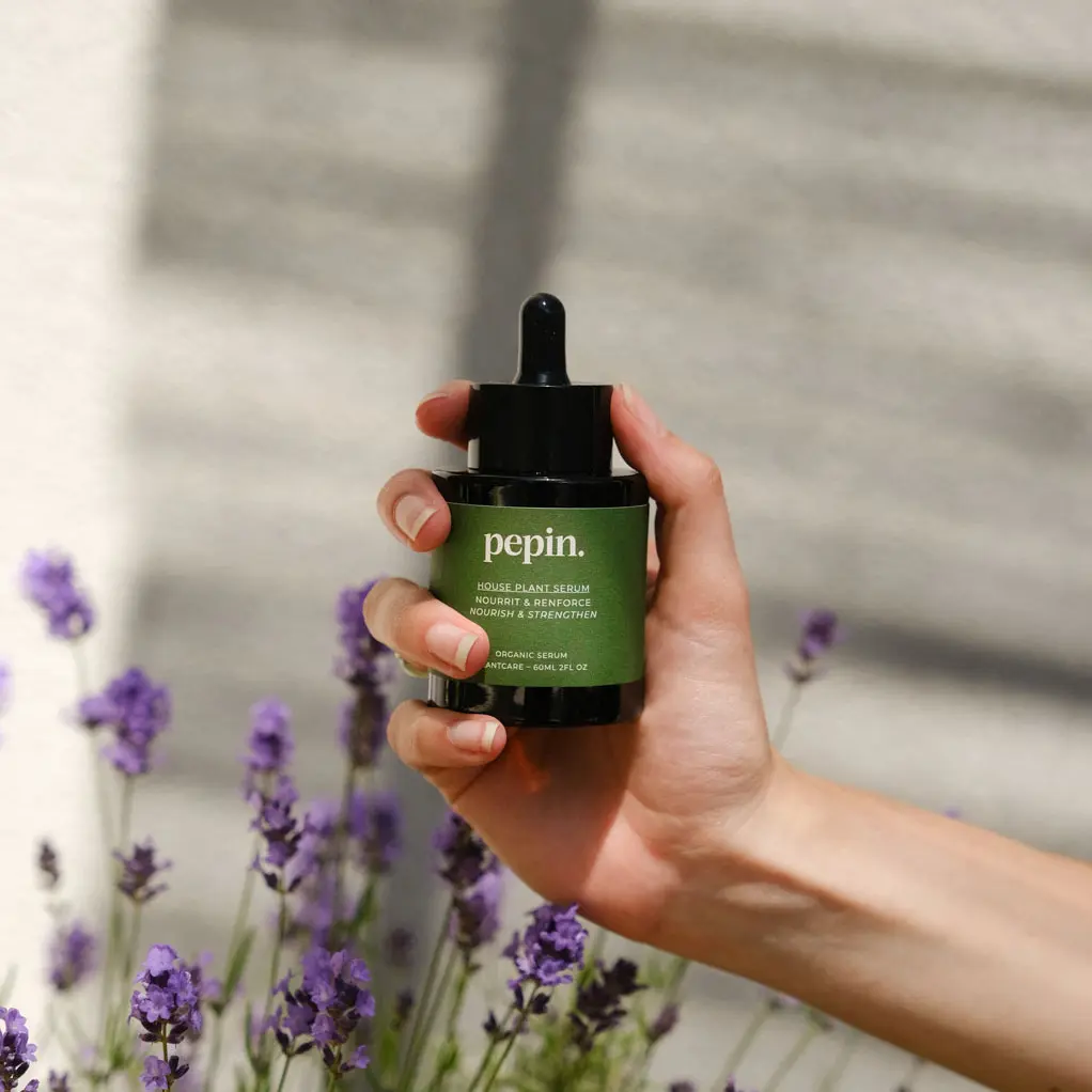 Sérum nourrissant - Plantes Vertes - Image 3