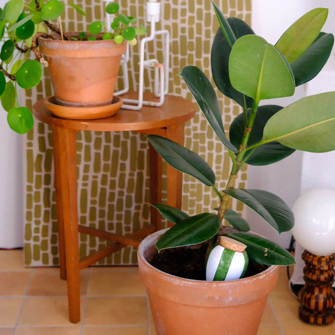 Olla - Rayé vert et blanc - Image 3