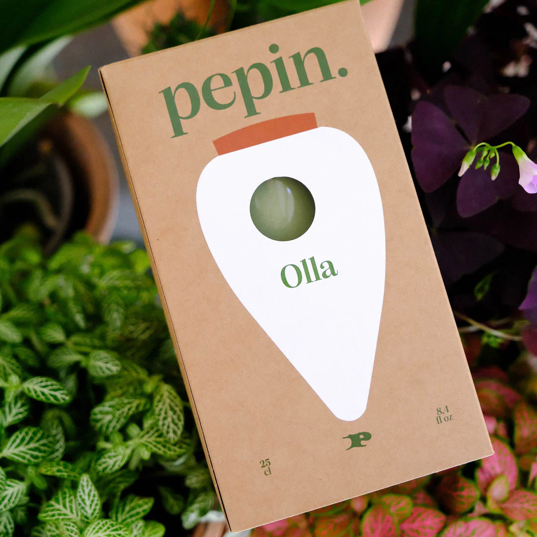 Olla - Vert - Image 4